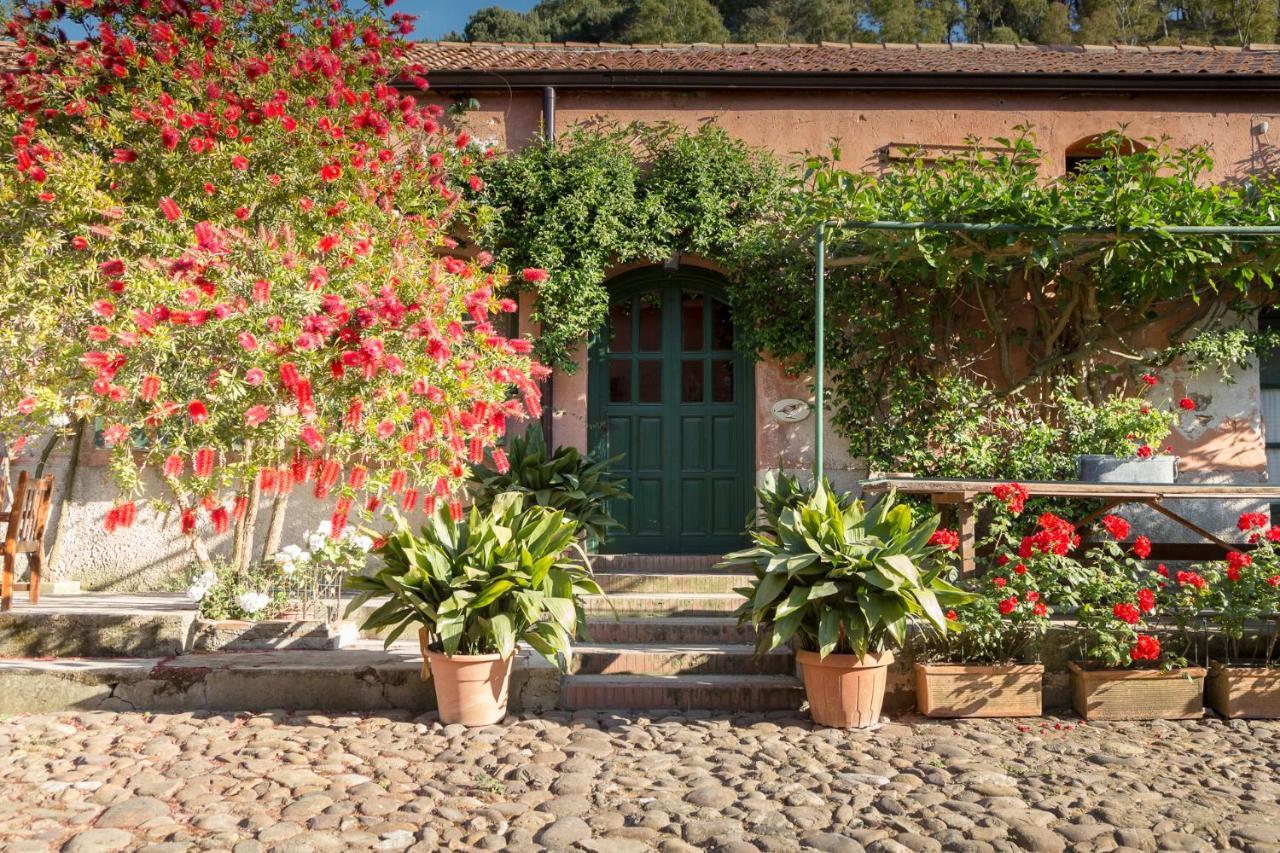 Masseria Pernice Monreale Kültér fotó